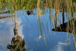 Florida Eco Tours: Natural Wonders Await