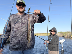 Everglades Florida Gar landed on drift fishing adventure!