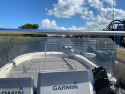 Scenic view of Florida landscape