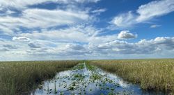 The best Everglades tours in broward 