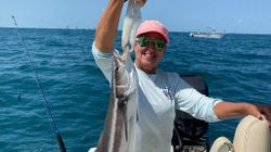 Cobia fish caught by angler in Port Isabel