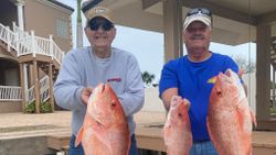 3 fish caught at Port Isabel