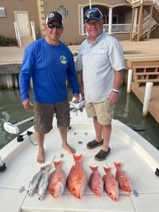 5 fish caught in Port Isabel