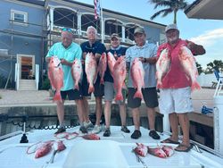 Red snapper fishing catch displayed at Port Isabel TX marina with multiple fish laid out