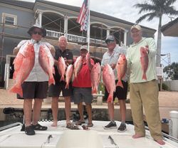 Red snapper fishing catch displayed at Port Isabel TX marina with multiple fish