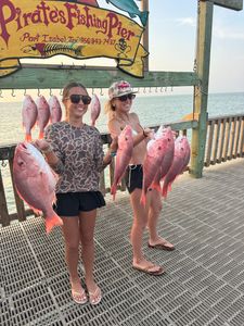 Six red snapper displayed at Pirates Fishing Pier in Port Isabel TX