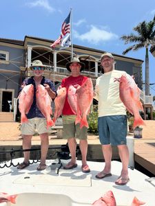 Red snapper fishing success in Port Isabel TX with multiple fish displayed on boat deck