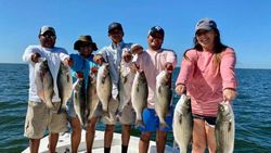 7 white bass caught at Port Isabel