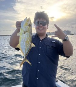 Bigeye trevally fish caught while fishing in Key Biscayne