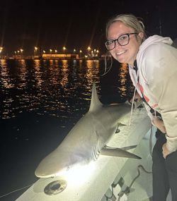 Blacktip Shark caught while fishing in Key Biscayne