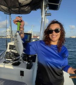 A Blue Runner fish caught fishing in FL