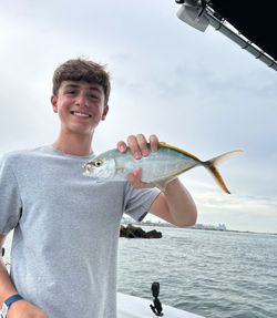 Photo of a Blue Runner fish caught while fishing in Key Biscayne