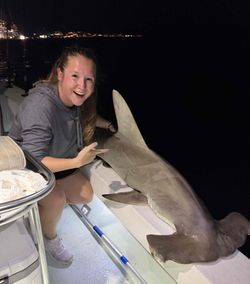 Bonnethead shark caught while fishing in FL