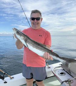 A lone cobia fish being caught while fishing in Key Biscayne