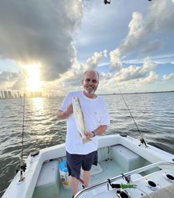 A single person fishing in the waters of Key Biscayne
