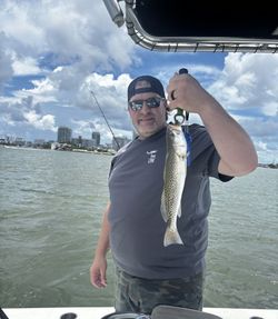 Spotted Weakfish caught while fishing in Key Biscayne