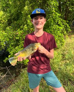 Angler fishing in FL