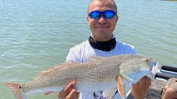 Redfish from Rockport, Texas