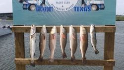 Redfish from Rockport, Texas