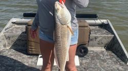 Redfish from Rockport, Texas