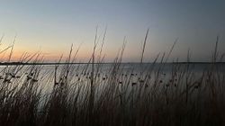 Scenic view of Rockport