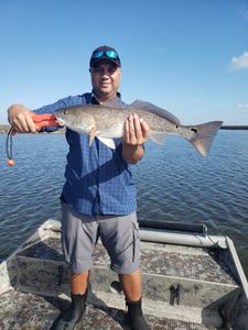 Redfish measuring 27 inches caught in TX