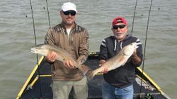 Two anglers standing in water at Rockport, fishing