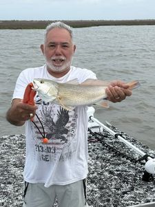 Redfish catch displayed on rocky shoreline in Rockport Texas