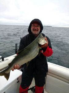 Lake Trout Run 2022, Lake Michigan Guided Trips