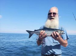 Lake Michigan's trout