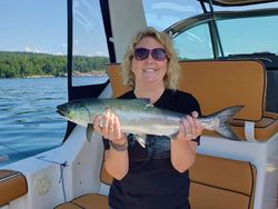 Trout Fishing in Lake Michigan 2022