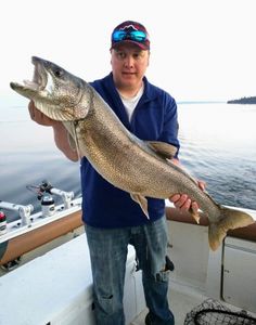 Caught this Massive Lake Trout in Lake Michigan