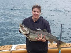 Angler holding large 27-inch fish at location 60096