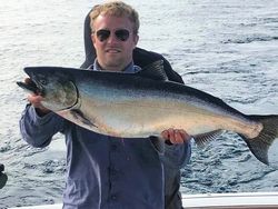 Chinook salmon caught fishing in MI
