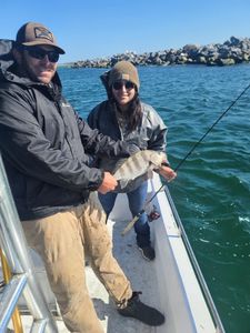 Angler holding 8-inch black drum fish in Panama City Beach