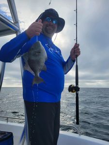 One Black Drum fish caught in Florida