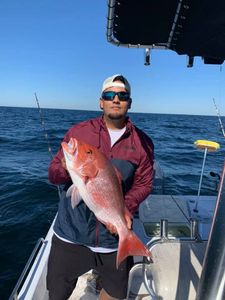Lone angler fishing in FL