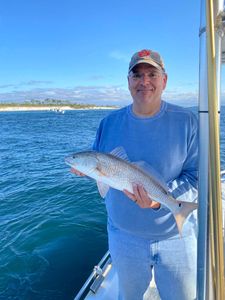 Redfish caught in Panama City Beach