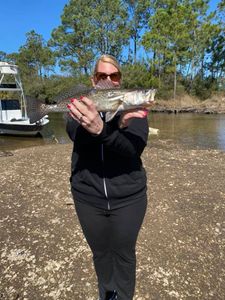 Angler with a spotted weakfish catch in Panama City Beach