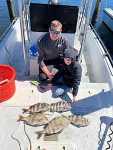 Two sheepshead fish caught at Panama City Beach