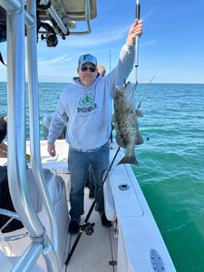 A gag grouper caught while fishing in FL