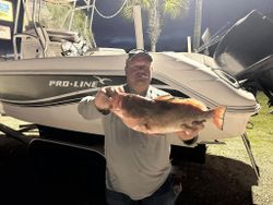 Red Grouper caught while fishing in FL