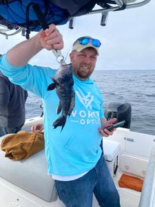 Fishing for a sea bass in FL