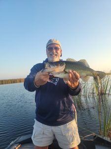 Florida bass fishing, we are successful today!