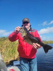 Fishing for Bass in Fellsmere, FL