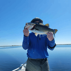 Bass in Lake Kenansville 2023
