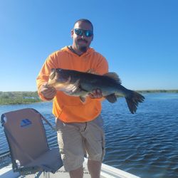 Bass Fishing Trip in Lake Kenansville