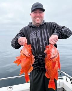 LA Rockfish fishing adventures await!