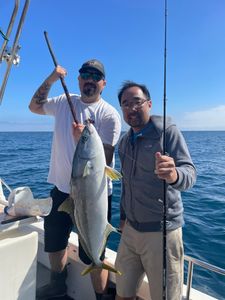 Yellowtail Fishing tales from LA!