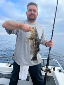 Calico Bass Fishing bliss in LA!